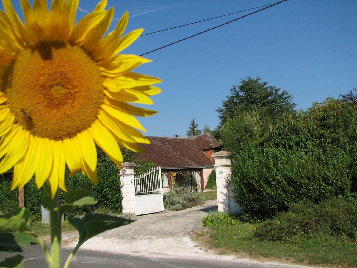 Bed and Breakfast Le Clos Du Petit Marray Chambourg-sur-Indre Екстер'єр фото